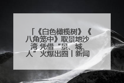 《白色橄榄树》《八角笼中》取景地沙湾 凭借“景、城、人”火爆出圈丨新闻发布最前线