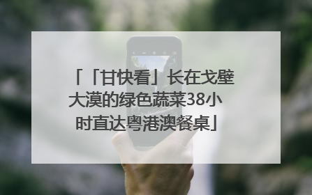 「甘快看」长在戈壁大漠的绿色蔬菜38小时直达粤港澳餐桌
