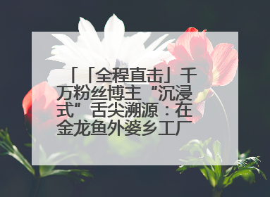 「全程直击」千万粉丝博主“沉浸式”舌尖溯源：在金龙鱼外婆乡工厂寻回记忆中