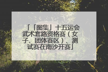 「图集」十五运会武术套路资格赛（女子、团体赛区）、测试赛在南沙开赛
