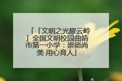 「文明之光耀云岭」全国文明校园曲靖市第一小学：崇德尚美 用心育人