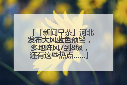 「新闻早茶」河北发布大风蓝色预警，多地阵风7到8级，还有这些热点……