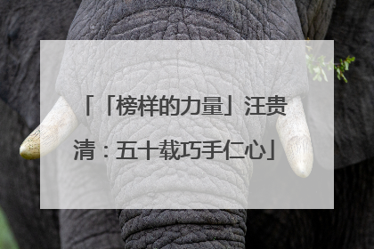 「榜样的力量」汪贵清：五十载巧手仁心