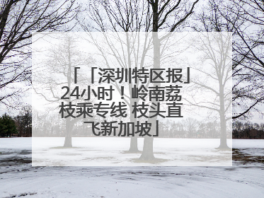 「深圳特区报」24小时！岭南荔枝乘专线 枝头直飞新加坡