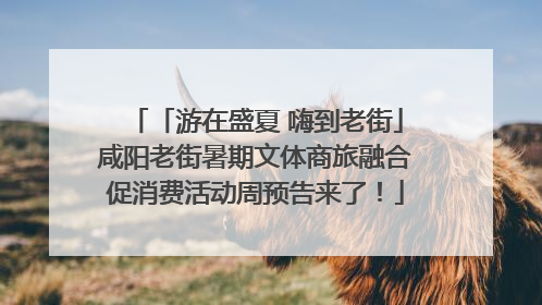 「游在盛夏 嗨到老街」咸阳老街暑期文体商旅融合促消费活动周预告来了！