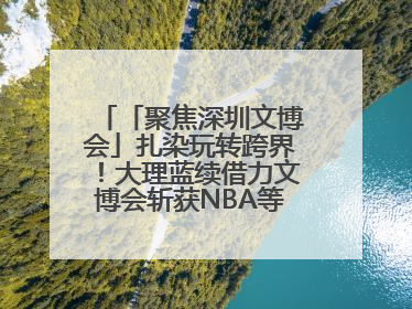 「聚焦深圳文博会」扎染玩转跨界！大理蓝续借力文博会斩获NBA等联名大单
