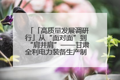「高质量发展调研行」从“面对面”到“肩并肩”——甘肃全利电力装备生产制造项目一线见闻