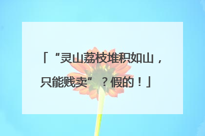 “灵山荔枝堆积如山，只能贱卖”？假的！