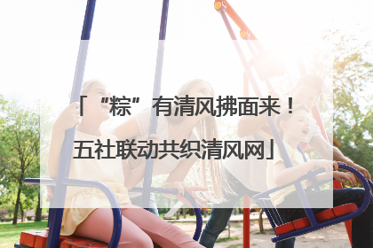 “粽”有清风拂面来！五社联动共织清风网
