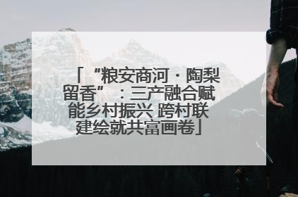 “粮安商河・陶梨留香”：三产融合赋能乡村振兴 跨村联建绘就共富画卷
