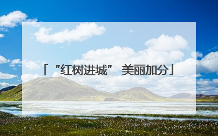 “红树进城” 美丽加分