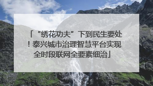 “绣花功夫”下到民生要处！泰兴城市治理智慧平台实现全时段联网全要素细治
