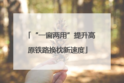 “一窗两用”提升高原铁路换枕新速度