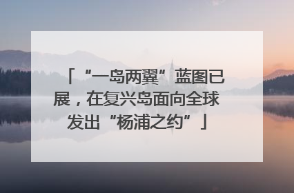“一岛两翼”蓝图已展，在复兴岛面向全球发出“杨浦之约”