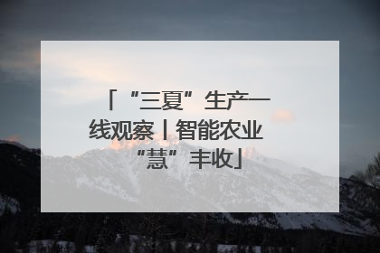 “三夏”生产一线观察丨智能农业“慧”丰收