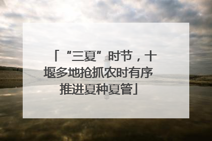 “三夏”时节，十堰多地抢抓农时有序推进夏种夏管