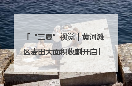 “三夏”视觉|黄河滩区麦田大面积收割开启