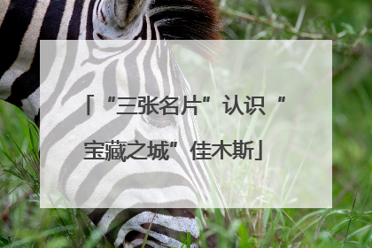 “三张名片”认识“宝藏之城”佳木斯