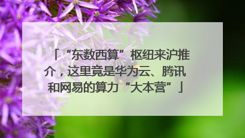 “东数西算”枢纽来沪推介，这里竟是华为云、腾讯和网易的算力“大本营”