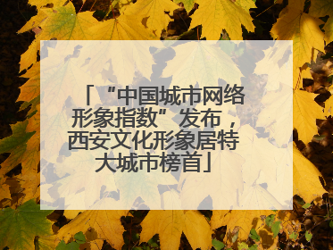 “中国城市网络形象指数”发布，西安文化形象居特大城市榜首