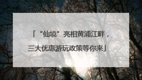“仙境”亮相黄浦江畔，三大优惠游玩政策等你来