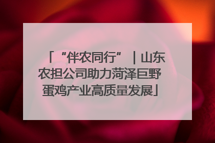“伴农同行”｜山东农担公司助力菏泽巨野蛋鸡产业高质量发展