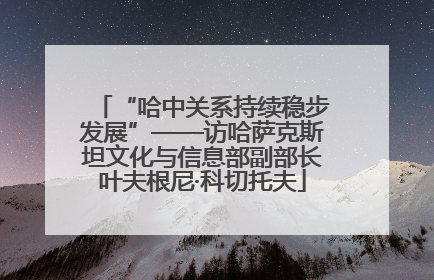“哈中关系持续稳步发展”——访哈萨克斯坦文化与信息部副部长叶夫根尼·科切托夫