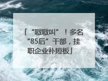 “嗷嗷叫”！多名“85后”干部，挂职企业补短板
