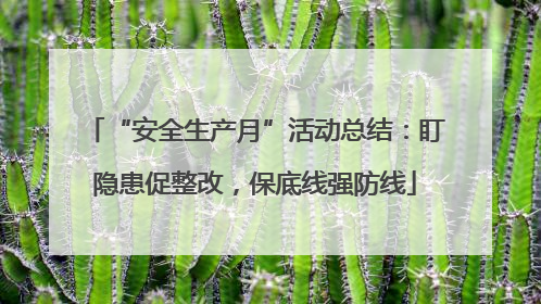 “安全生产月”活动总结：盯隐患促整改，保底线强防线