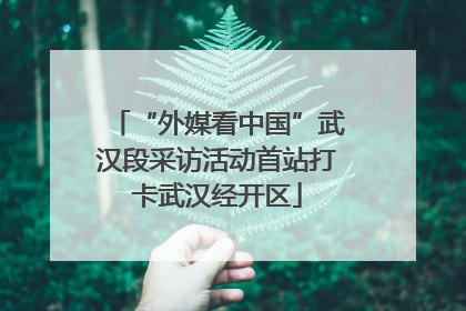 “外媒看中国”武汉段采访活动首站打卡武汉经开区