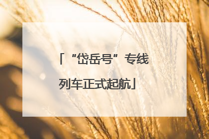 “岱岳号”专线列车正式起航