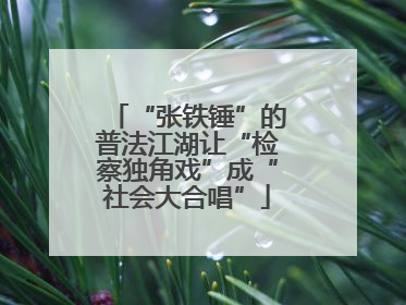 “张铁锤”的普法江湖让“检察独角戏”成“社会大合唱”