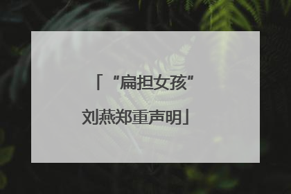 “扁担女孩”刘燕郑重声明
