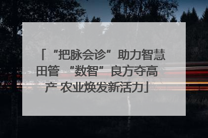“把脉会诊”助力智慧田管 “数智”良方夺高产 农业焕发新活力