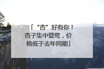 “杏”好有你！杏子集中登鹭，价格低于去年同期