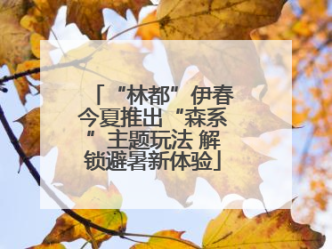 “林都”伊春今夏推出“森系”主题玩法 解锁避暑新体验