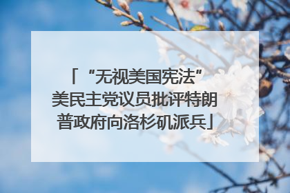 “无视美国宪法” 美民主党议员批评特朗普政府向洛杉矶派兵