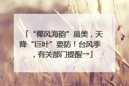 “椰风海韵”虽美，天降“巨叶”要防！台风季，有关部门提醒→