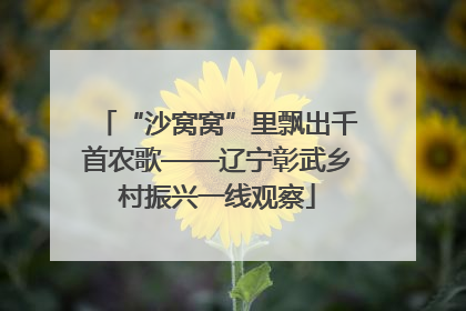 “沙窝窝”里飘出千首农歌——辽宁彰武乡村振兴一线观察