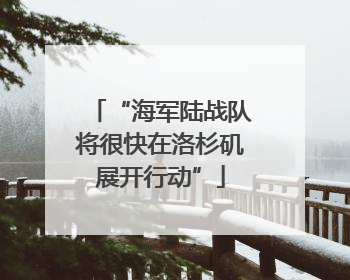 “海军陆战队将很快在洛杉矶展开行动”