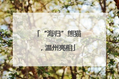 “海归”熊猫，温州亮相