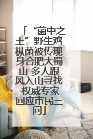 “菌中之王”野生鸡枞菌被传现身合肥大蜀山 多人跟风入山寻找 权威专家回应市民三问
