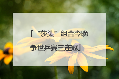“莎头”组合今晚争世乒赛三连冠