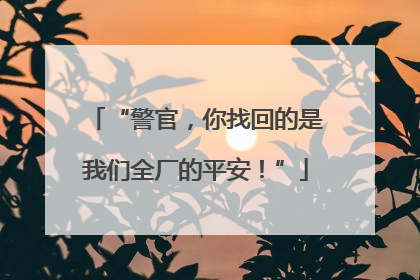 “警官，你找回的是我们全厂的平安！”