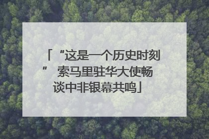 “这是一个历史时刻” 索马里驻华大使畅谈中非银幕共鸣