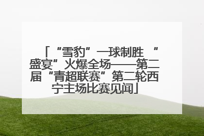 “雪豹”一球制胜 “盛宴”火爆全场——第二届“青超联赛”第二轮西宁主场比赛见闻