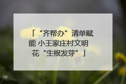 “齐帮办”清单赋能 小王家庄村文明花“生根发芽”