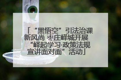 “黑悟空”引法治课新风尚 枣庄峄城开展“峄起学习·政策法规宣讲面对面”活动