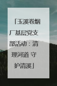 玉溪卷烟厂基层党支部活动：清理河道 守护清溪