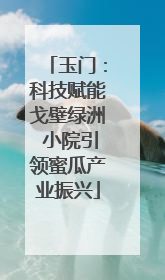 玉门：科技赋能戈壁绿洲 小院引领蜜瓜产业振兴